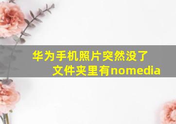 华为手机照片突然没了 文件夹里有nomedia